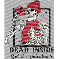 Valentine's Day-QRJ  6629